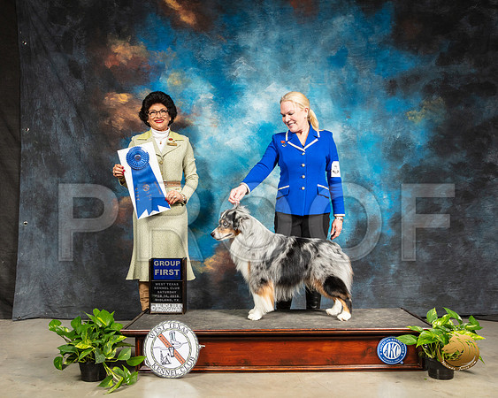 Miniature Australian Shepherd #5 Sat G1 Judge Linda Clark_SSR_2303-Midland19-HR3