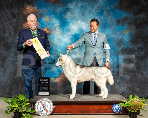 Siberian Husky #17 Sat Judge Dr Steve Keating_SSR_2298-Midland19-HR3