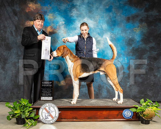 American Foxhound #5 Sat G4 Judge Charles Olvis_SSR_2326-Midland19-HR3