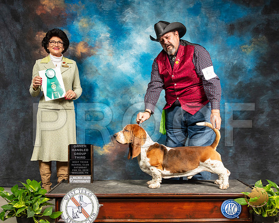 Basset Hound #5 Sat OHG3 Judge Linda Clark_SSR_2362-Midland19-HR3
