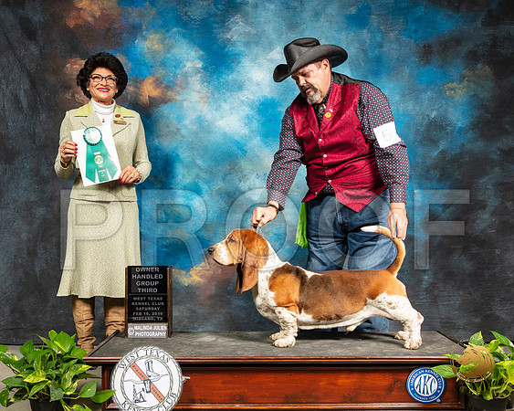 Basset Hound #5 Sat OHG3 Judge Linda Clark_SSR_2363-Midland19-HR3