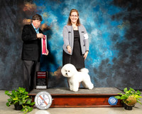 Bichon #5 Sat G2 Judge Charles Olvis