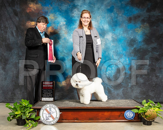 Bichon #5 Sat G2 Judge Charles Olvis_SSR_2331-Midland19-HR3
