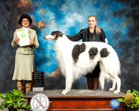 Borzoi #9 Sat OHG1 Judge Linda Clark