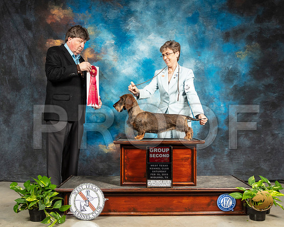 Dachshund Wire #6 Sat G2 Judge Charles Olvis_SSR_2337-Midland19-HR3