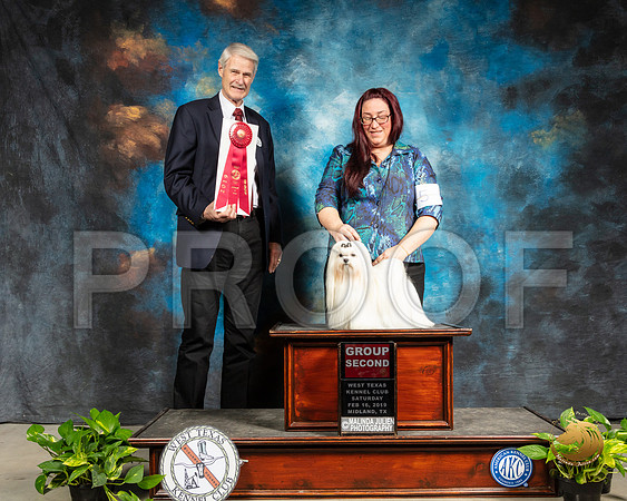 Maltese #5 Sat G2 Judge Jon R Cole _SSR_2379-Midland19-HR3