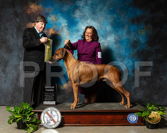 Rhodesian Ridgeback #15 Sat G3 Judge Charles Olvis_SSR_2340-Midland19-HR3
