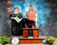 Schipperkee #5 Sat BBX BIS Judge Tracey Gustavson