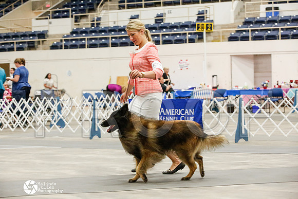 _JJ_9562-AblnMay2014-web