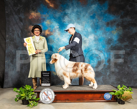 Australian Shepherd #11 Sat G3 Judge LInda Clark_SSR_2307e-Midland19-HR3