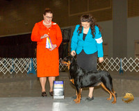 Rottweiler #6 Sun BOB Judge Sioux Forsyth Green