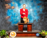 Pomeranian #10 Sun WB BOS Judge Dr Steve Keating