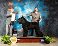 Black Russian #6 Fri G3 Judge Charles Olvis