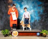 Beagle #J502 Sun Best Jr Judge Sioux Forsyth Green