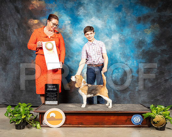Beagle #J502 Sun Best Jr Judge Sioux Forsyth Green_SSR_2655-Midland19-HR3