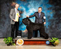 Black Russian #6 Sun G3 Judge Jon R Cole