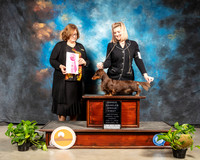 Dachshund Long #23 Sun OHG1 Judge Elizabeth Muthard