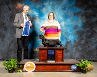 Dachshund Smooth #24 Sun G1 Judge Jon R Cole