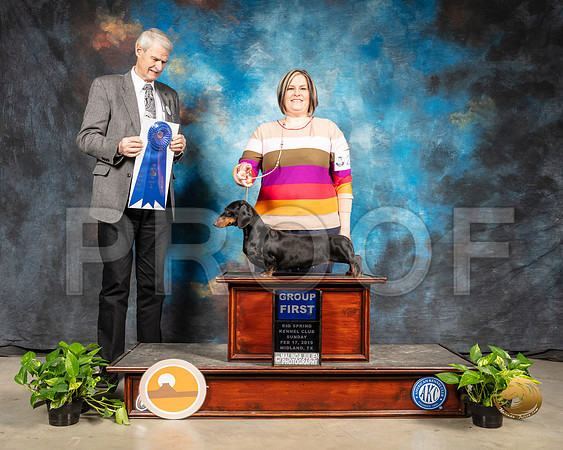 Dachshund Smooth #24 Sun G1 Judge Jon R Cole_SSR_2559-Midland19-HR3