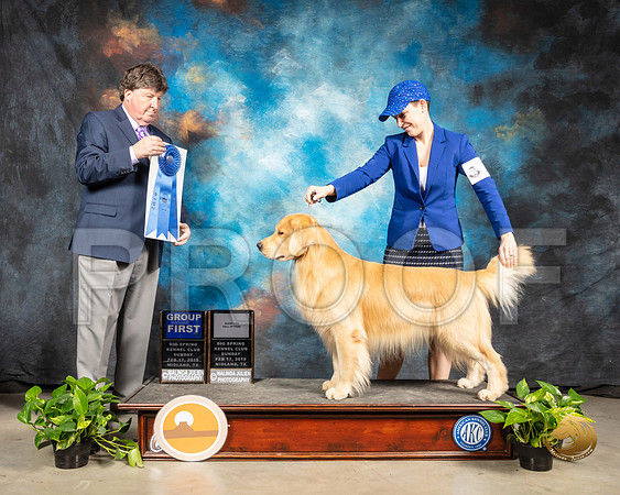 Golden Retriever #11 Sun G1 Judge Charles Olvis_SSR_2575-Midland19-HR3
