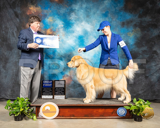 Golden Retriever #11 Sun G1 Judge Charles Olvis_SSR_2577-Midland19-HR3