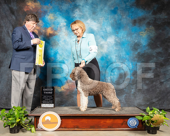 Lagatto #6 Sun G3 Judge Charles Olvis_SSR_2579-Midland19-HR3