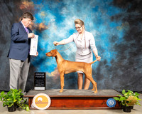 Vizsla #6 Sun G4 Judge Charles Olvis