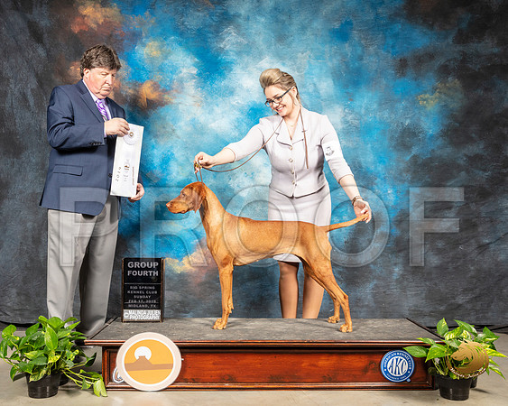 Vizsla #6 Sun G4 Judge Charles Olvis_SSR_2584-Midland19-HR3