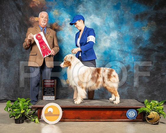 Australian Shepherd #17 Sun G2 Judge Dr Steve Keating_SSR_2686-Midland19-HR3