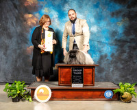 Pekingese #5 Sun G4 Judge Elizabeth Muthard