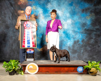 French Bulldog # Sun BIS Judge Dr Steve Keating