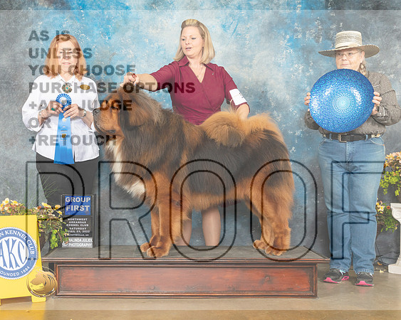 Tibetan Mastiff #5 Sun G1 Judge Jan Sigler-MMJ_1720-NWARK2022-HR3