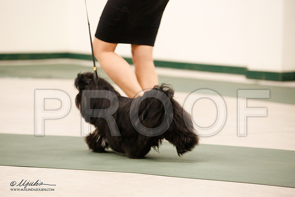 _JN_9289-NrmnNov2014-HR3