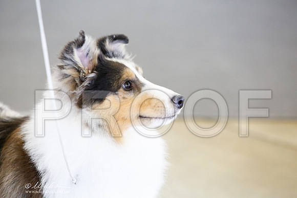 _CK_1203-DallasJul2014-HR3