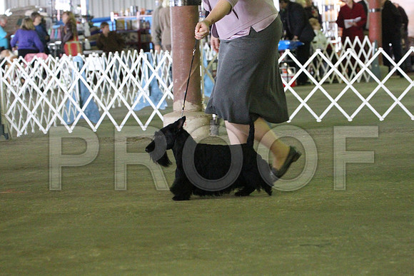 MJS_6057