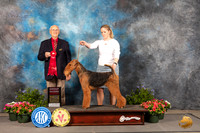 Airedale #5 Thur G2 Judge Robert Shreve