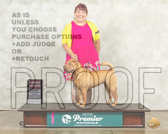 Chinese Shar Pei #680 Fri AG2 Judge Jeannie Heger__MJ_7918_Premier_2022_HR3