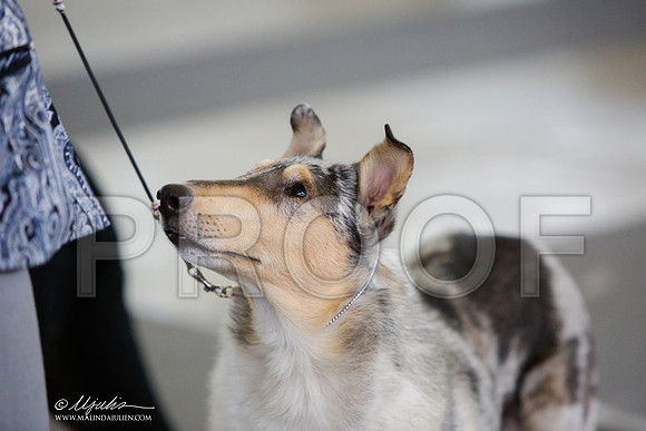 _JJ_3144-DallasJul2014-HR3