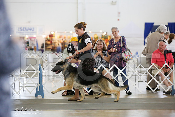 _JJ_2968-DallasJul2014-HR3