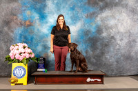 Labrador Retriever #60 THUR Obedience Judge Debra Barrows