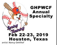 Corgi Houston Feb 2019