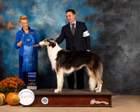 Borzoi #6 Fri G1 Judge Joanne Buehler