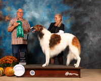 Borzoi #7 Fri OHG3 Judge John Booth