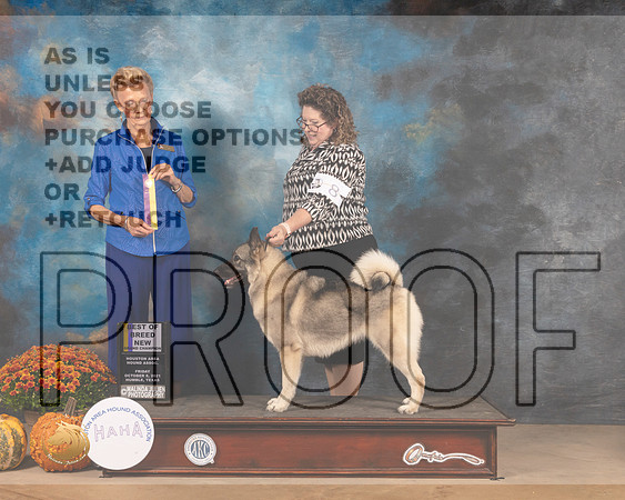 Norwegian Elkhound #8 Fri BOB Judge Joanne Buehler-MMJ_3088-Humble2021