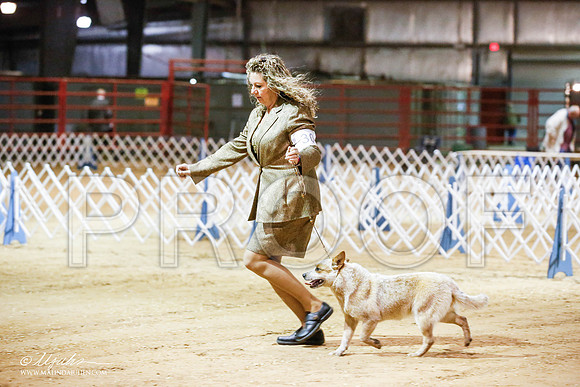 _JN_4750-2-GlenRoseJan2015-HR3