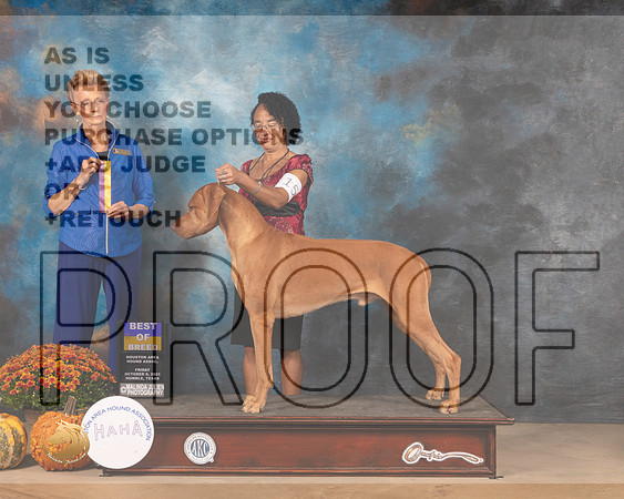 Rhodesian Ridgeback #15 Fri BOB Judge Joanne Buehler-MMJ_3080-Humble2021