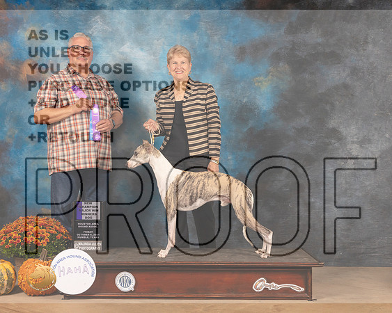 Whippet #5 Fri WD Judge John Booth-MMJ_3063-Humble2021
