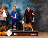 Basenji #5 Fri OHG4 Judge John Booth BOB Judge Joanne Buehler