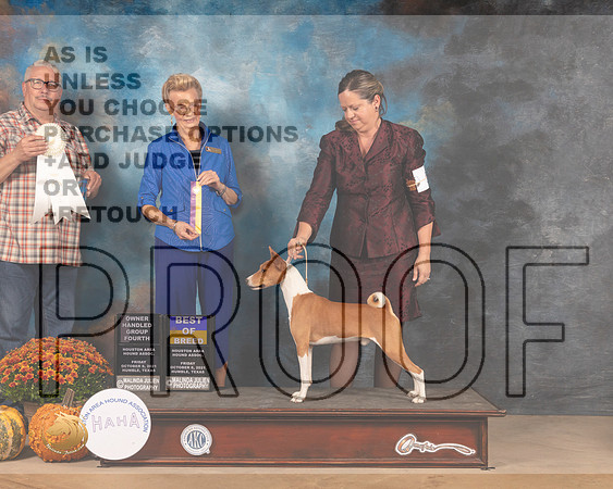 Basenji #5 Fri OHG4 Judge John Booth BOB Judge Joanne Buehler-MMJ_3086-Humble2021
