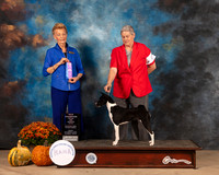 Basenji #6 Fri WB Judge Joanne Buehler
